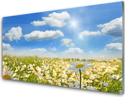 Produktbild von Acrylglasbilder 100x50 Wandbild Druck Wiese Gänseblümchen Natur
