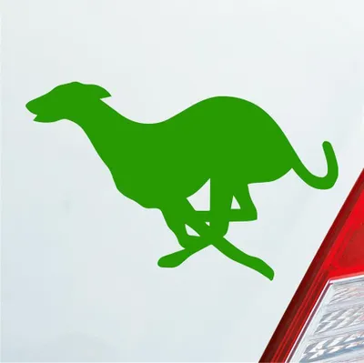 Produktbild von Auto Aufkleber Windhund Hund Dog Animal Tier 12x7,5 cm Hellgrün Sticker Heckscheibenaufkleber