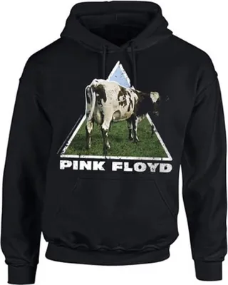 Produktbild von Pink Floyd - Atom Heart Hoodie Kapuzenpullover