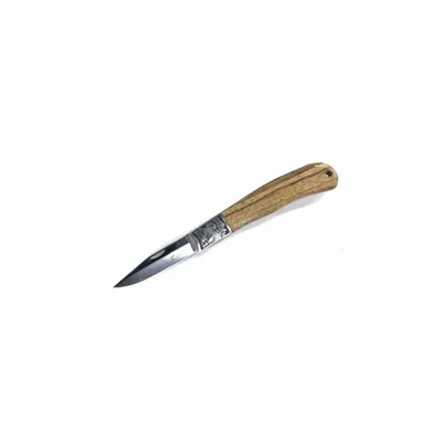 Obrázek produktu pro Turistický nožík ARIES, 22 cm