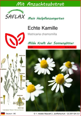 Produktbild von SAFLAX - Heilpflanzen - Echte Kamille - 300 Samen - Mit keimfreiem Anzuchtsubstrat - Matricaria chamomilla