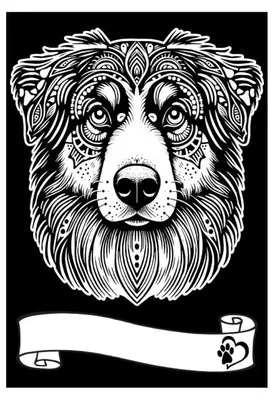 Image de Coloriage velours A4, Berger australien - Colorvelvet