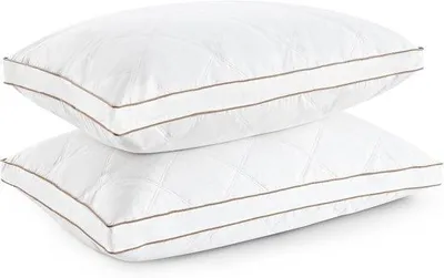 Produktbild von Famanu Kopfkissen Set 2 Stück 46x66x5cm - Daunenkissen mit 100% Baumwollbezug