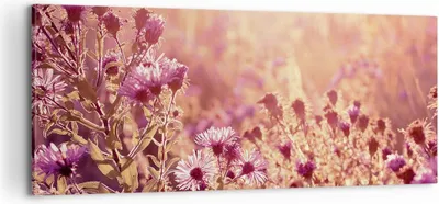 Produktbild von Bild auf Leinwand - Leinwandbild - Einteilig - Wiese Blumen Sonne - 100x40cm - Wand Bild - Wanddeko - Wandbilder - Leinwanddruck - Bilder - Wanddekoration - Leinwand bilder - Wandbild - AB100x40-4819