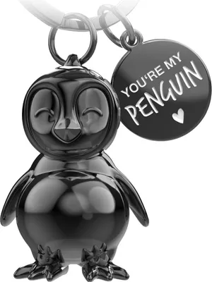 Produktbild von FABACH Pinguin Schlüsselanhänger Frosty - Pinguin Glücksbringer Geschenke Freundin oder Freund - Partner Geschenk Liebe Schlüsselanhänger zu Geburtstag, Jahrestag - Gravur You're My Penguin