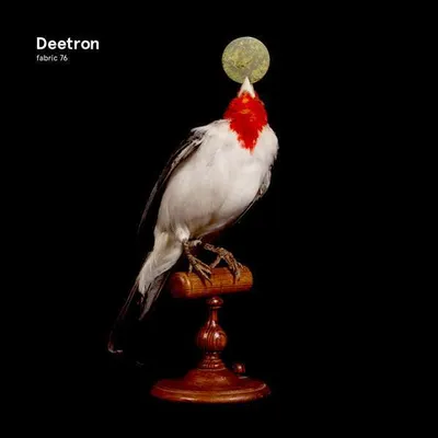 Produktbild von fabric 76: Deetron