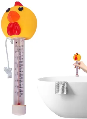 Poolthermometer, Hauptbild