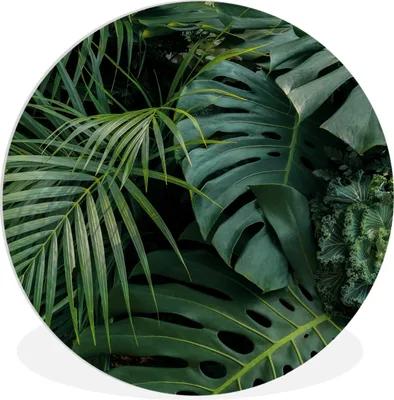Produktbild von MuchoWow® Rundes Wandbild - Runde Bilder Pflanzen - Dschungel - Blätter - Tropisch Ø 90 cm Kreis Wanddekoration Kunststoff - Wandkreis - Wandschmuck - Wand-Kreis - Wohnzimmer - Bild - Runde - Wanddeko - Dibond - Kunstdrucke