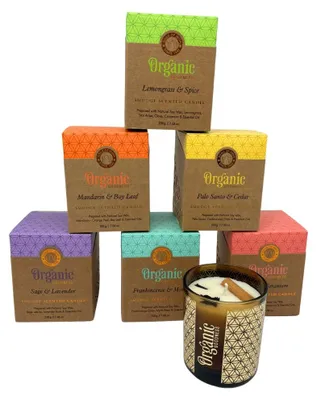 Obrázek produktu pro Song of India Organic Goodness
