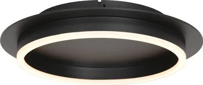 Produktbild von Steinhauer Deckenleuchte Ringlux 1-flammig Schwarz Matt/ Kunststoff Weiß 32x32cm