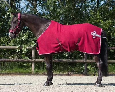 Produktbild von Fleecedecke mit Ornament Bordeaux/Silber 165/5’5”/125