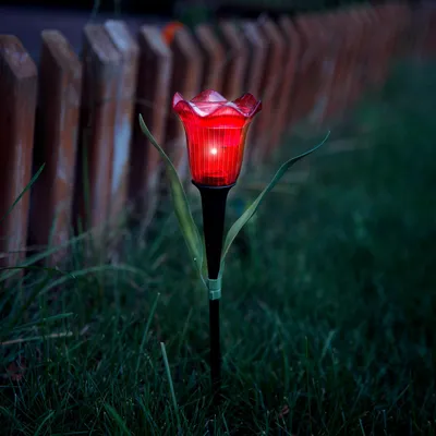 Immagine prodotto di Lampada da giardino a forma di tulipano alimentata a energia solare con picchetto – Illuminazione da giardino a LED con energia solare – Forma a tulipano – Giallo, rosso o rosa – Si accende automaticamente al tramonto – Lampada decorativa da esterno per giardino, aiuola o vialetto – 31 cm [11750]