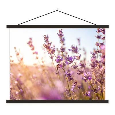 Produktbild von MuchoWow® Textilposter Lavendel - Nahaufnahme - Sonne - Blumen - Lila 40x30 cm mit schwarzem Rahmen - Dekorationen