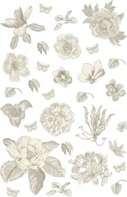 Produktbild von Sanders & Sanders Wandtattoo Blumen Grau 65 x 42.5 cm