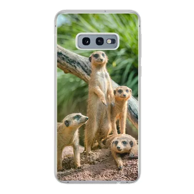 Produktbild von MuchoWow® Handyhülle Schutzhülle Hülle für Samsung Galaxy S10e Erdmännchen - Familie - Tiere Silikon Softcase Handy Hülle - Handy
