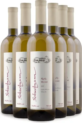 Produktbild von Schuchmann Mtsvane 2022 Georgischer Weißwein trocken (6 x 0.75L)
