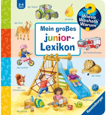 Produktbild von Wieso? Weshalb? Warum? Mein großes junior-Lexikon