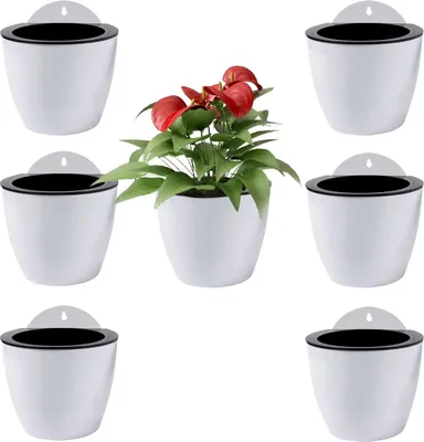 Produktbild von Selbstbewässernde Wandpflanzenkästen - Geeignet für drinnen und draußen - 7 Stück - Weiß - 13 cm
