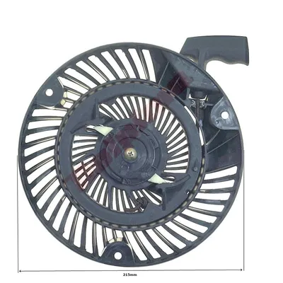 Immagine prodotto di Avviamento per Briggs&Stratton Dov ( 793470 )