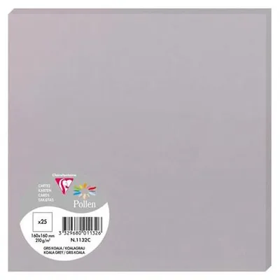 Produktbild von Clairefontaine Karte Pollen 160x160 210g koalagrau