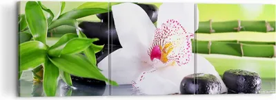 Produktbild von Bild auf Leinwand - Leinwandbild - blume orchidee - 120x40cm - Wand Bild - Wanddeko - Wandbilder - Leinwanddruck - Bilder - Kunstdruck - Wanddekoration - Leinwand bilder - Wandkunst - CA120x40-3659
