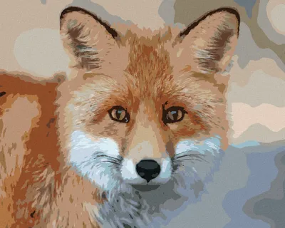 Produktbild von Zuty - Malen nach Zahlen - JUNGER FUCHS, 40x50 cm, ohne Keilrahmen