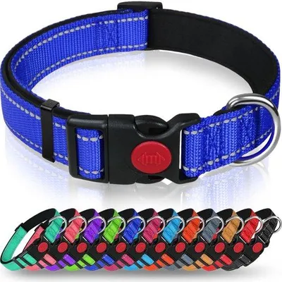 Produktbild von Ibenzoa® Verstellbares reflektierendes Hundehalsband L – Nylon mit Neopren‑Futter, 360° Reflektiv, Sicherheitsverschluss & Metall‑D‑Ring, 12 Farben