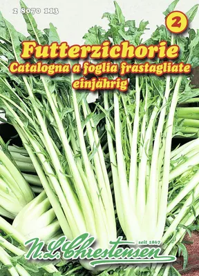 Artikelbild 1 von 'Futterzichorie' aus der Kategorie Chicoréesamen