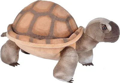 Produktbild von Wild Republic - Kuscheltier - Cuddlekins- Wüsten Schildkröte