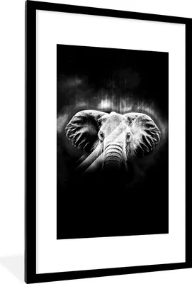Produktbild von MuchoWow® Gerahmtes Poster Elefant mit großen Ohren auf abstraktem Hintergrund - schwarz und weiß 60x90 cm - Poster mit Schwarzem Bilderrahmen Wandposter Rahmen Foto Bilder - Dekoration - Wandposter Wohnzimmer - Hochwertig
