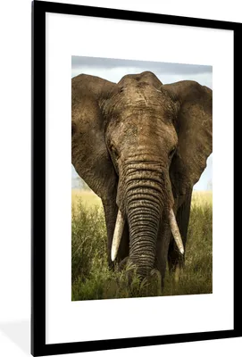 Produktbild von MuchoWow® Gerahmtes Poster Elefant - Natur - Gras - Tiere - Landschaft 60x90 cm - Poster mit Schwarzem Bilderrahmen Wandposter Rahmen Foto Bilder - Dekoration - Wandposter Wohnzimmer - Hochwertig