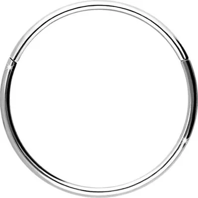 Produktbild von Ohrpiercing, Nasenpiercing, Septum Piercing Titan Segmentring Clicker WeißGold Innendurchmesser: 10mm + Stabstärke: 0,8mm