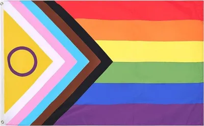 Produktbild von Progress Rainbow Flag 2021 (90 x 150 cm)