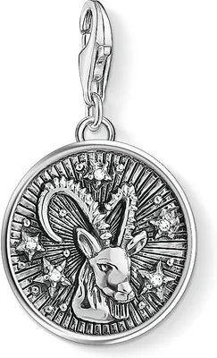 Obrázok produktu pre THOMAS SABO Očarujúci prívesok "Znamenie zverokruhu Kozorožec" Strieborný Z