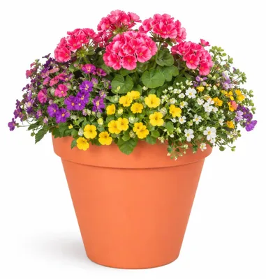 Produktbild von Mega Collections Pflanzentopf/blumentopf - Kunststoff - orange - 26 x 22 cm