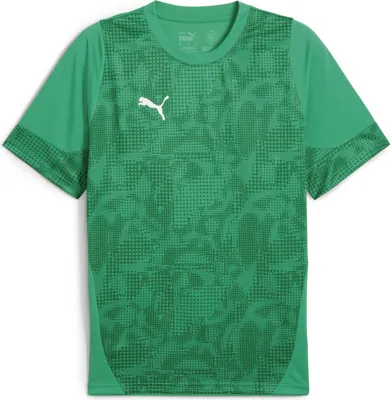 Produktbild von Puma Teamcup Trikot Kurzarm Herren - Grün