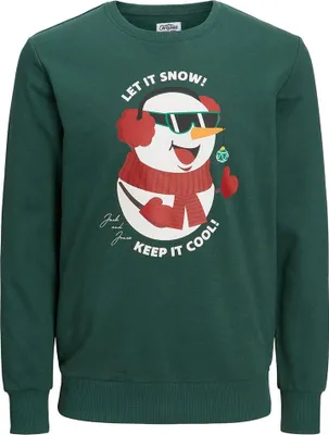Produktbild von Jack & Jones Jortoon Sweatshirt Grün L Mann Grün L