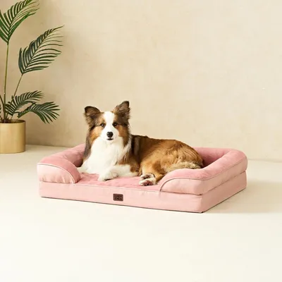 Immagine prodotto di Cuccia ortopedica per cani - Cuscino per cani - Letto per cani - Tappetino per cani - Divano per cani - Memory foam - Impermeabile