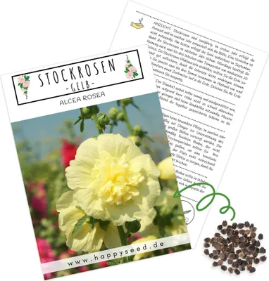 Produktbild von Stockrosen Samen zweijährig (Alcea Rosea) - Wunderschöne Rosen mit langer Blütezeit für besondere Akzente in Ihrem Blumenbeet (Gelb)