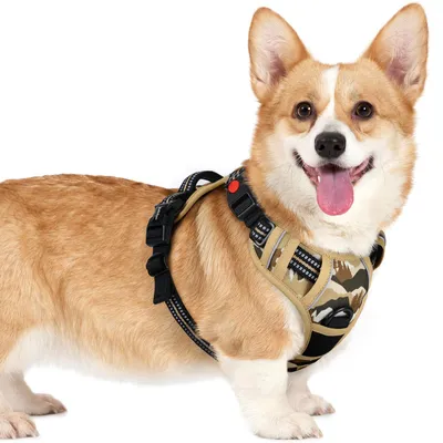 Productafbeelding van Hondentuig voor Kleine Honden, Maat S, Bergkhaki