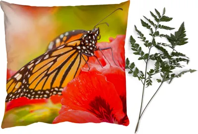 Produktbild von MuchoWow® Zierkissen Sofakissen Wohnzimmer Dekokissen 45x45 cm Blumen - Schmetterlinge - Monarch - Schlafpolster - Polster für das Sofa