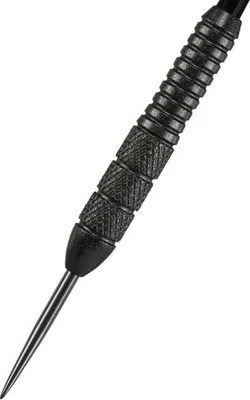 Obrázek produktu pro Šipky Steel Power Storm - Phil Taylor - 22g