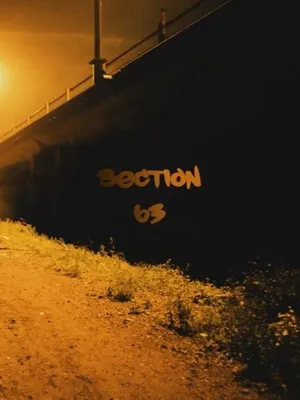 Zdjęcie produktu dla Section 63