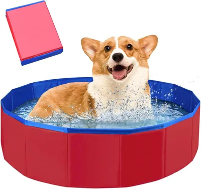 Produktbild von Faltbares Hundepool, Antirutsch, 50 x 80 cm, Tragbar für kleine Hunde und Katzen