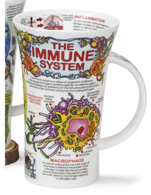 Produktbild von Dunoon Jumbobecher Glencoe Immune System Immunsystem für 500ml Formano