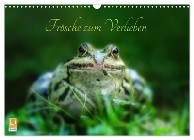 Produktbild von Frösche zum Verlieben (Wandkalender 2027 DIN A3 quer), CALVENDO Monatskalender