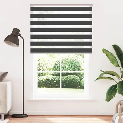Obrázek produktu pro vidaXL Dvojitá roletka, černá, 150 x 200 cm, šířka látky 145,9 cm, polyester