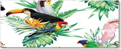 Produktbild von Tulup® Leinwandbild - 125x50 cm - Wandkunst - Drucke auf Leinwand - Leinwanddruck  - Tiere - Mehrfarbig - Tropische Vögel