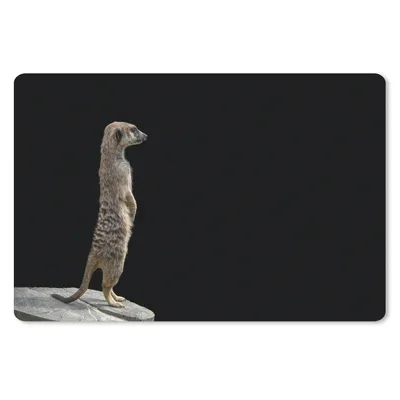 Produktbild von MuchoWow® Schreibtischunterlage Erdmännchen - Wilde Tiere - Schwarz 60x40 cm - XXL Mauspad - Großes Mauspad