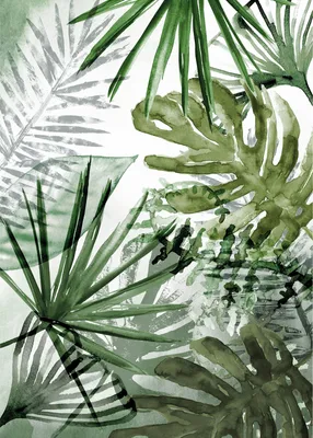 Produktbild von Fototapete Vlies 105400 Pure Nature Palmenmix 4-tlg.200 x 280 cm